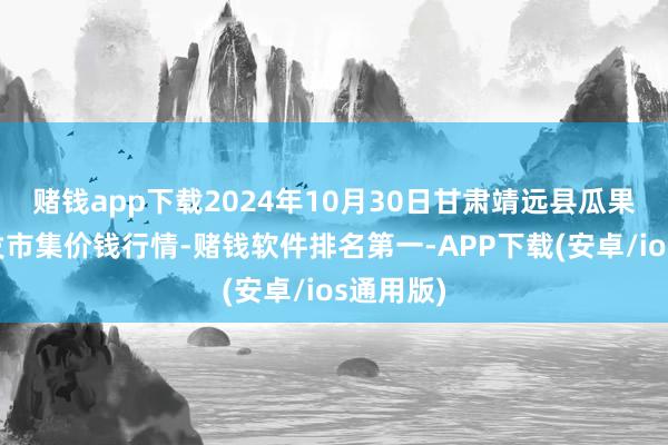 赌钱app下载2024年10月30日甘肃靖远县瓜果蔬菜批发市集价钱行情-赌钱软件排名第一-APP下载(安卓/ios通用版)