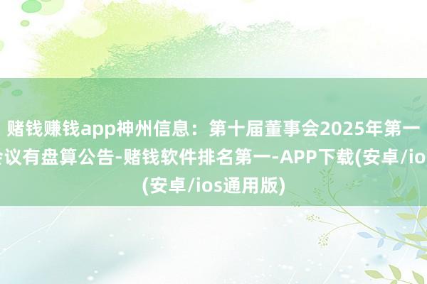 赌钱赚钱app神州信息：第十届董事会2025年第一次临时会议